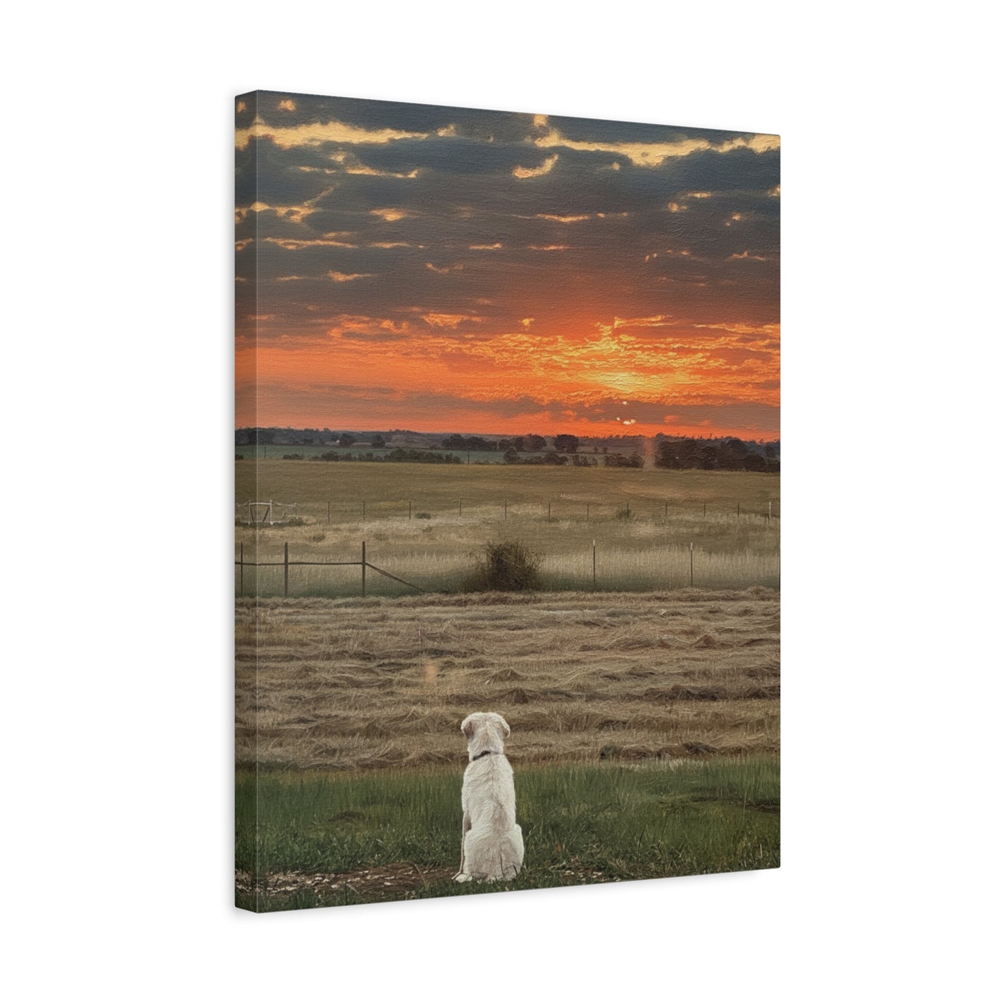 Watching Sunrise at the Ranch - Matte Canvas Wall Art
