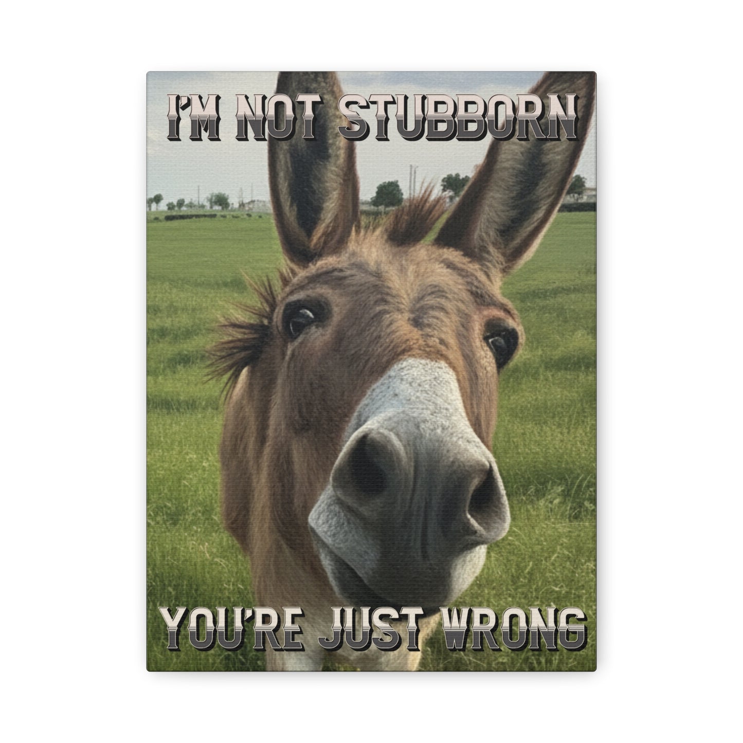 Funny Donkey Canvas Print - “I’m Not Stubborn You’re Just Wrong” Wall Art Sign