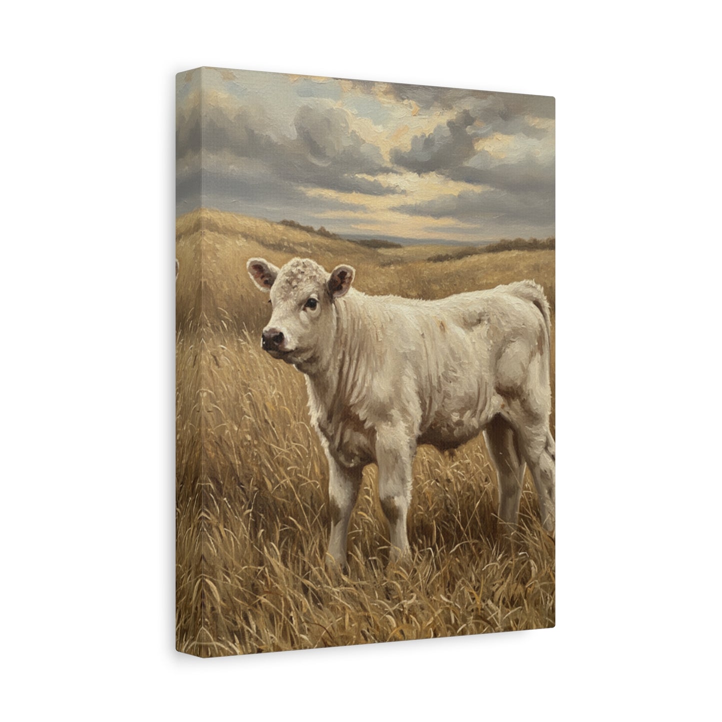 Calf in Golden Field Matte Canvas Sign - Rustic Wall Art