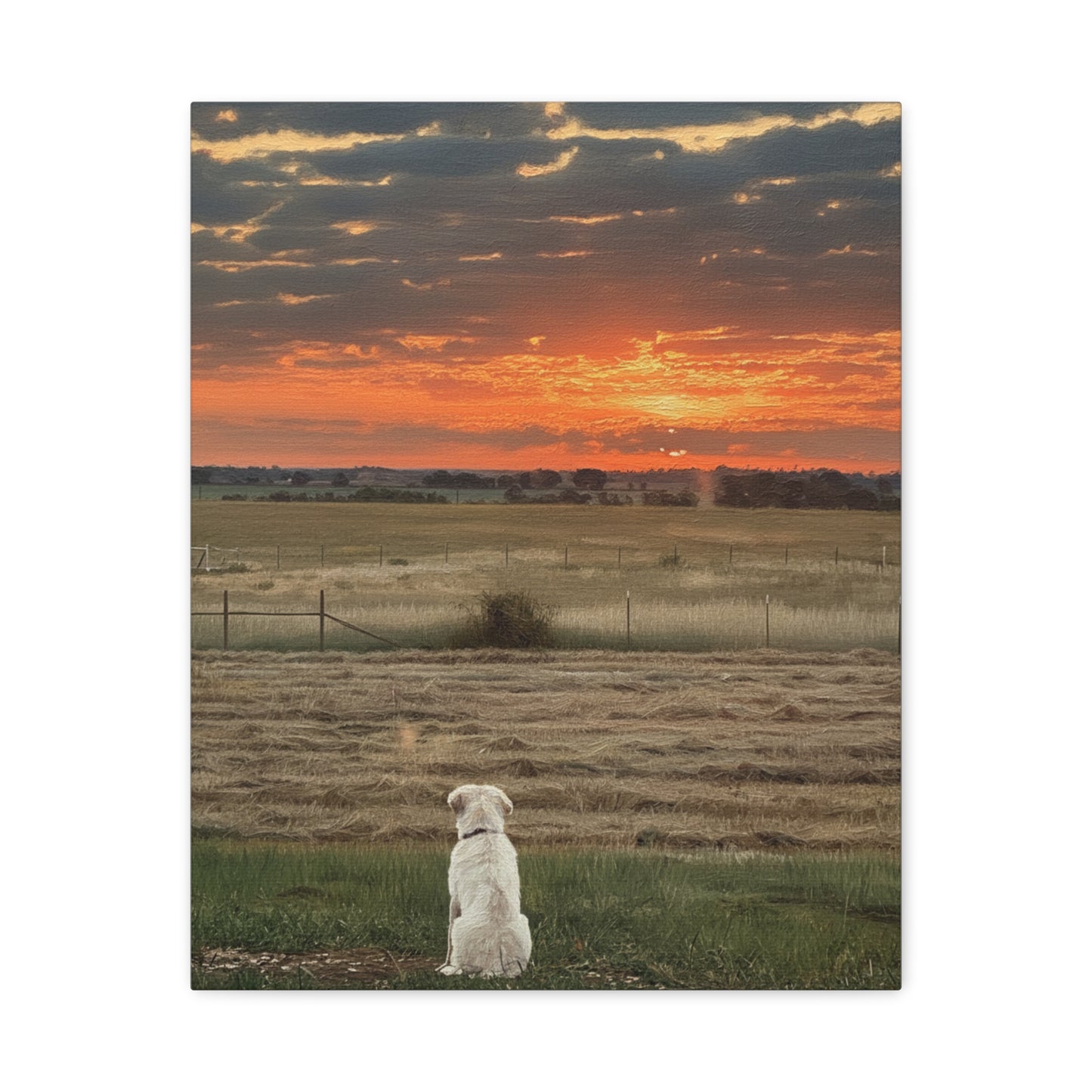 Watching Sunrise at the Ranch - Matte Canvas Wall Art