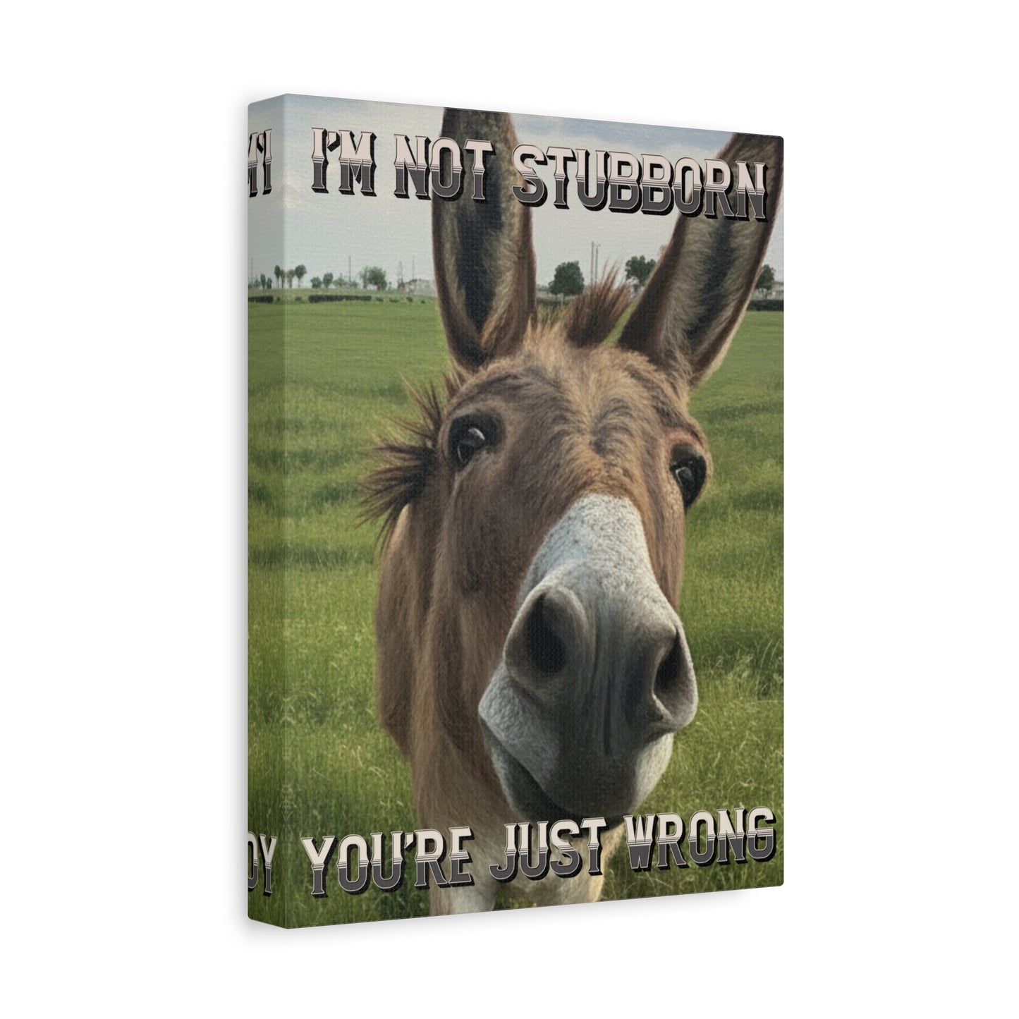 Funny Donkey Canvas Print - “I’m Not Stubborn You’re Just Wrong” Wall Art Sign