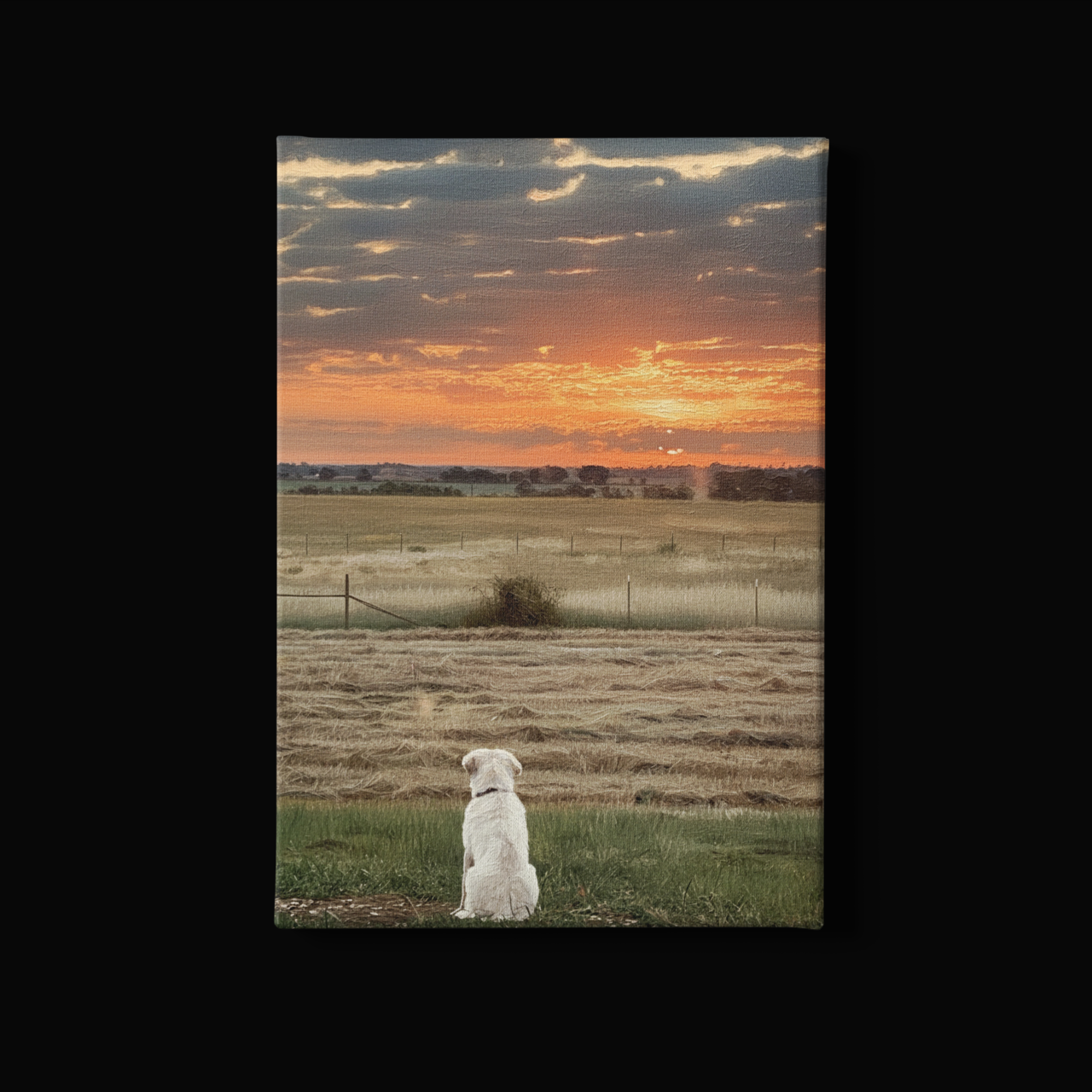 Watching Sunrise at the Ranch - Matte Canvas Wall Art