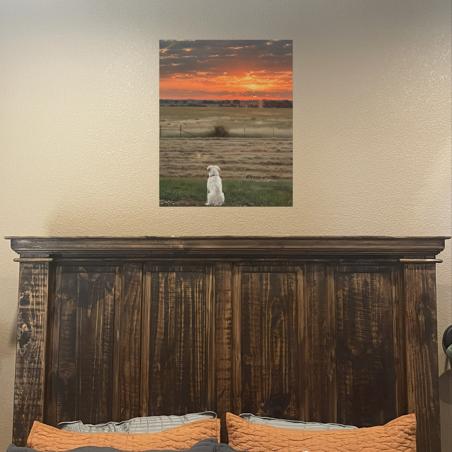 Watching Sunrise at the Ranch - Matte Canvas Wall Art